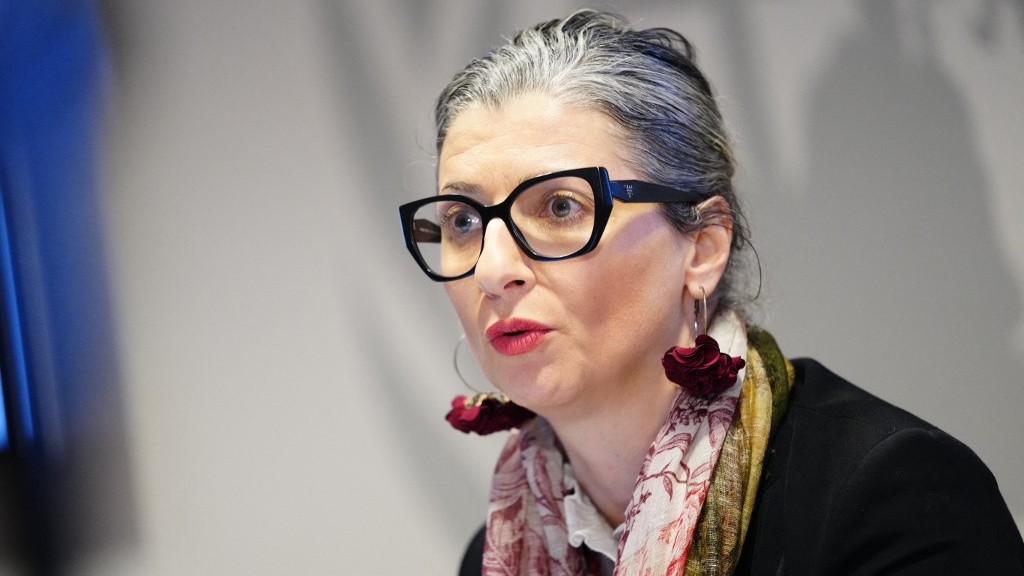 Francesca Albanese: David Cameron could be criminally liable for threatening ICC020 Francesca Albanese: David Cameron could be criminally liable for threatening ICC