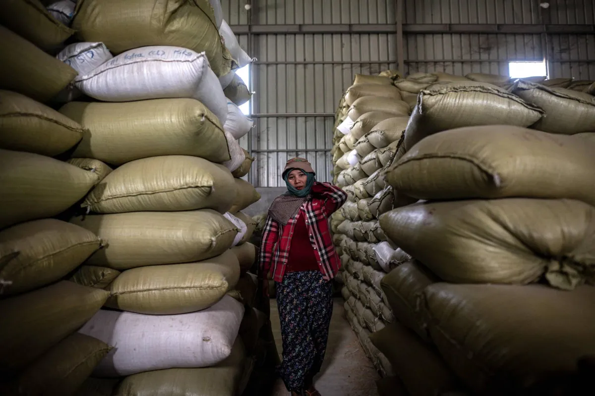 World Bank: Earthquake Worsens Myanmars Economic Decline020 World Bank: Earthquake Worsens Myanmars Economic Decline